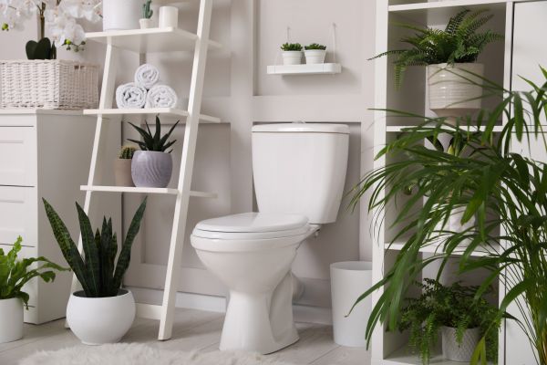 Cost of Toilet Repair in Columbia