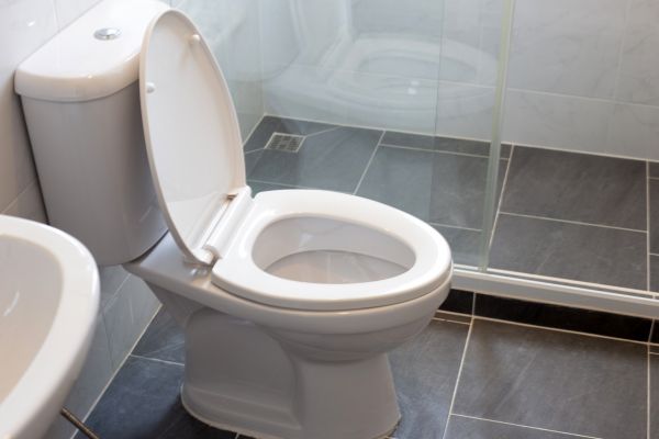 Toilet Replacement in Columbia